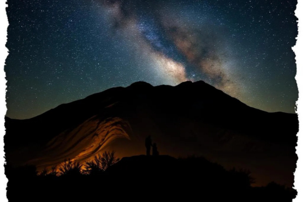 Cantos da Noite: O Que Ouvir e Observar nas Trilhas Noturnas