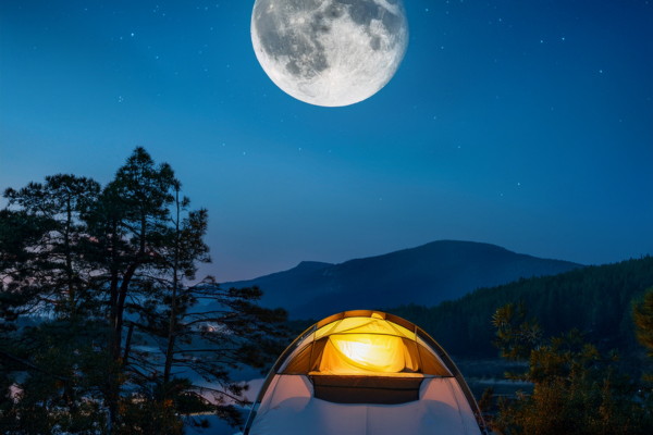 Ecoturismo à Luz da Lua